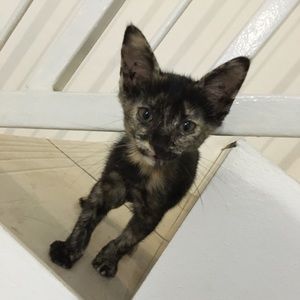 Meet your Posher, Jeanna